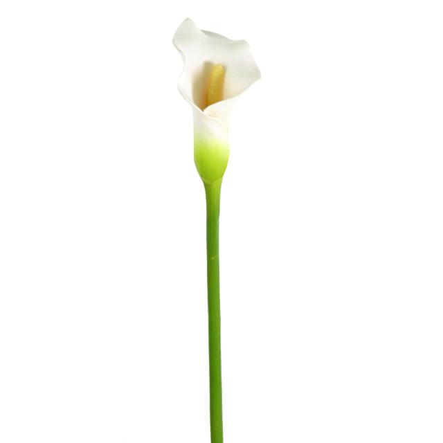 Arome Artificiel Medium