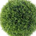 Cyprès Artificiel Boule Pot