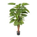 Pothos Artificiel Géant