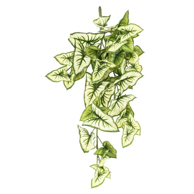 Syngonium Artificiel Chute 60