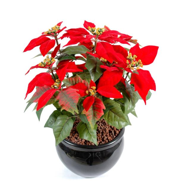 Poinsettia Artificiel Rouge, Rose, Crème