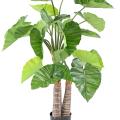 Alocasia Artificiel