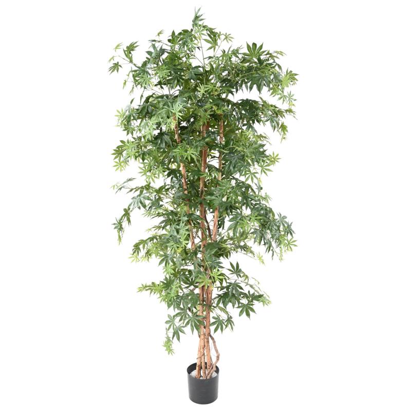 Aralia Artificiel NEW Erable