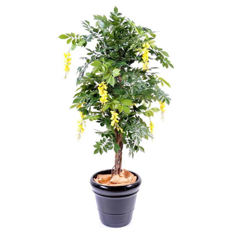Glycine Artificielle Multi TREE