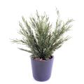 Podocarpus Artificiel Buissson UV