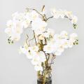 Composition Artificielle Phalaenopsis