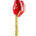 Banane Artificielle Régime Fleur