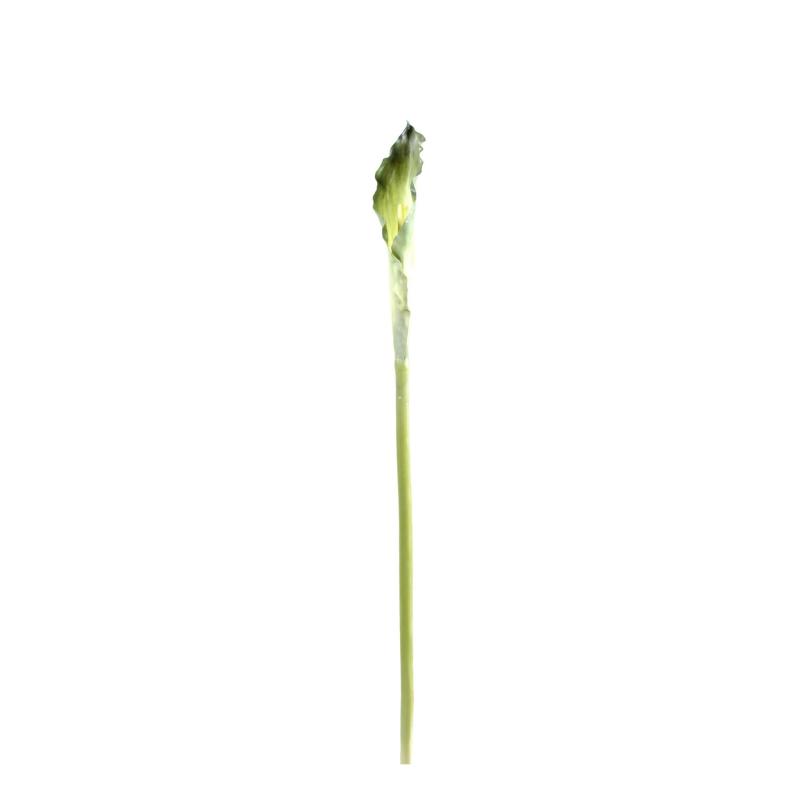 Arome Artificiel XL (arum)