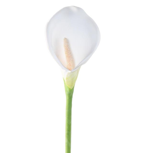 Arome Artificiel (arum)
