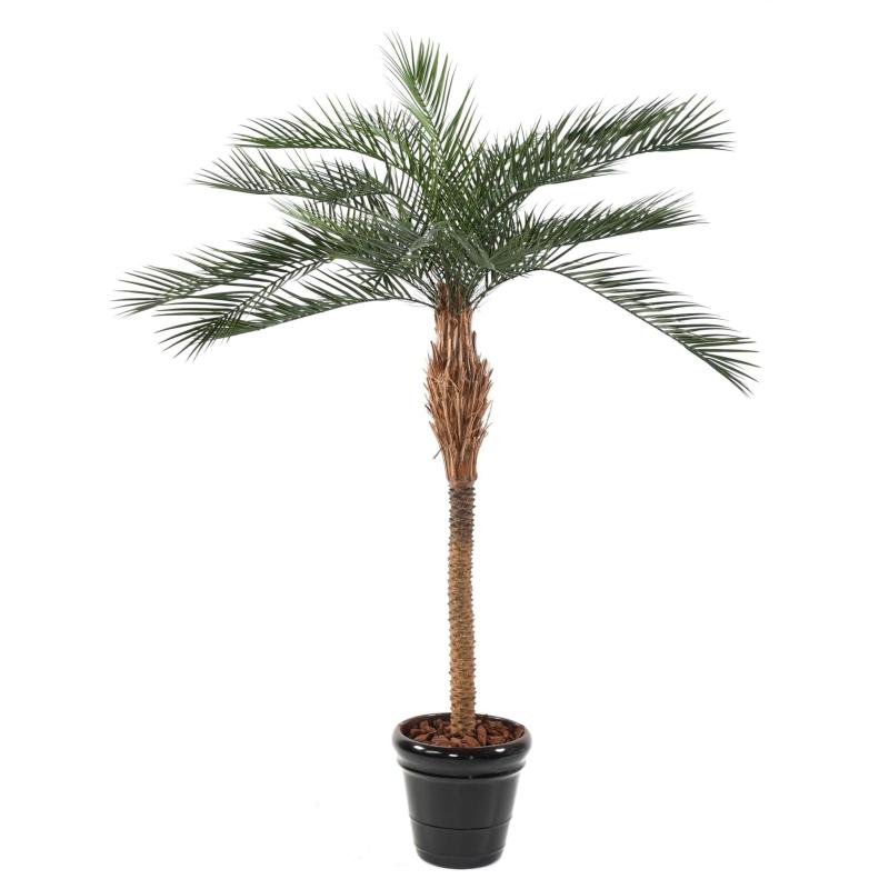 Phoenix Artificiel PLAST