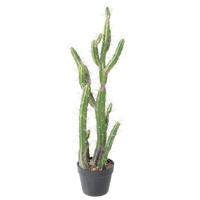 Cactus Artificiel Finger F
