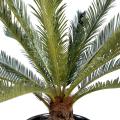 Cycas Artificiel Geant