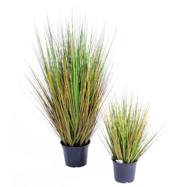 Onion Grass Artificiel GF