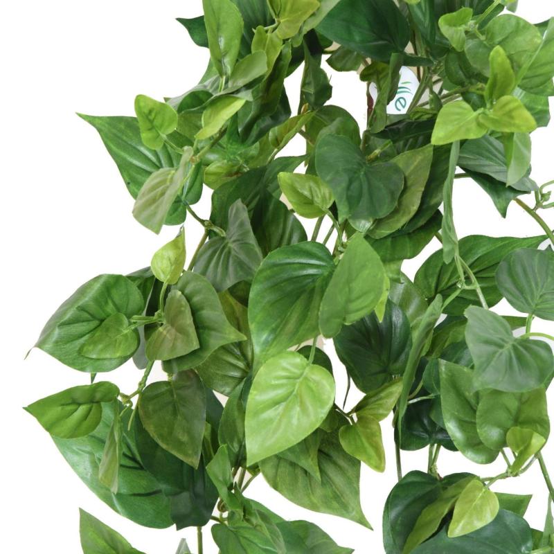 Pothos Artificiel