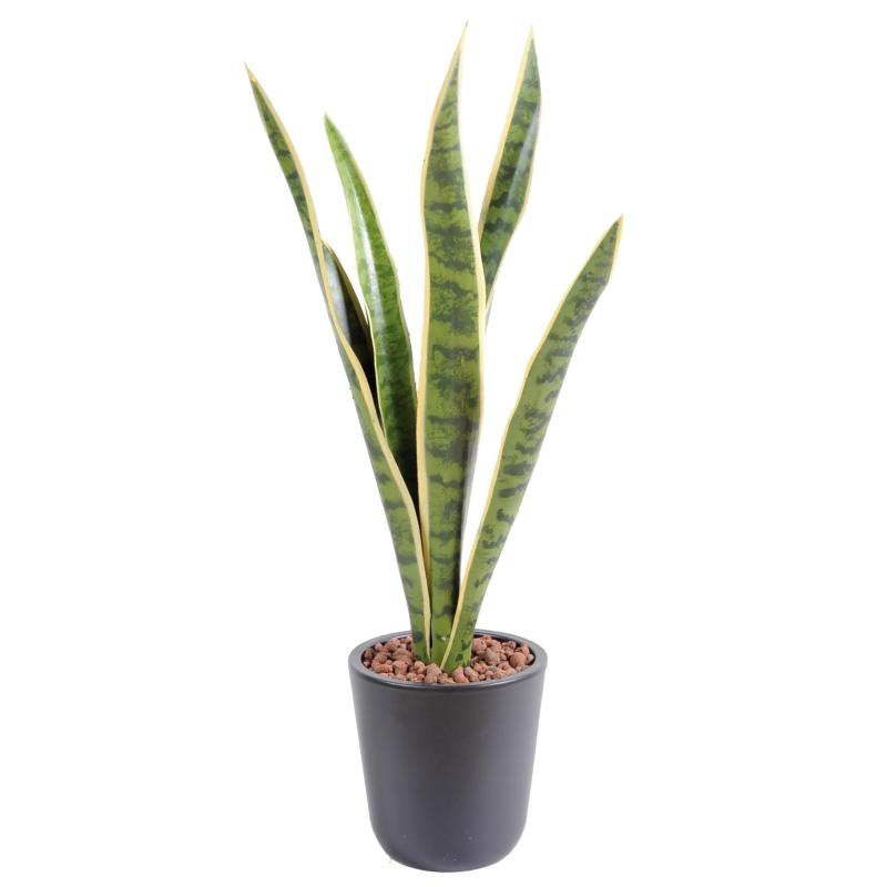 Sansevieria Artificiel Piquet MM
