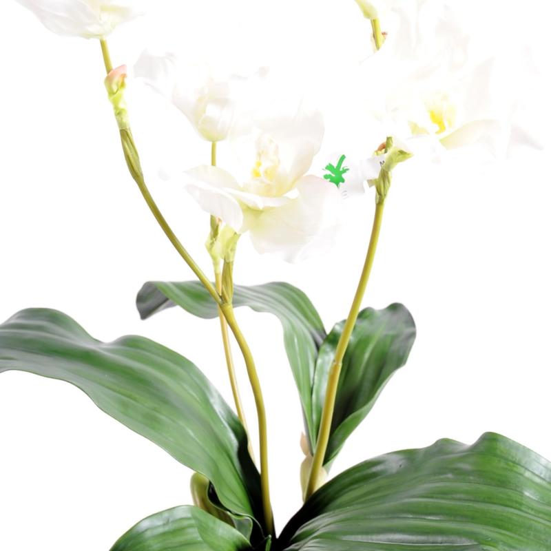 Lycaste Artificiel Orchidée