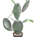 CACTUS OPUNTIA ARTIFICIEL