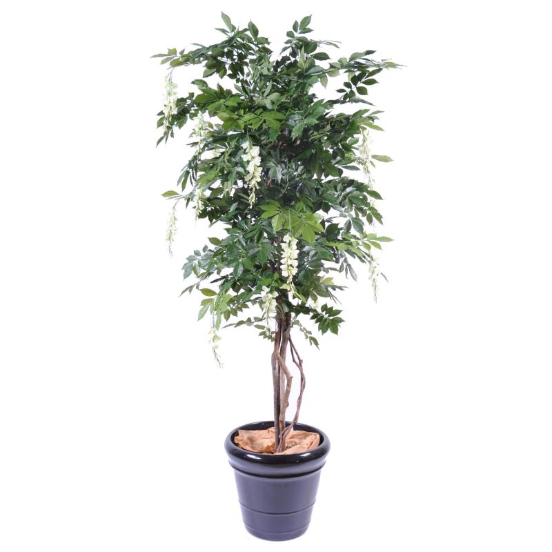 Glycine Artificielle Multi TREE