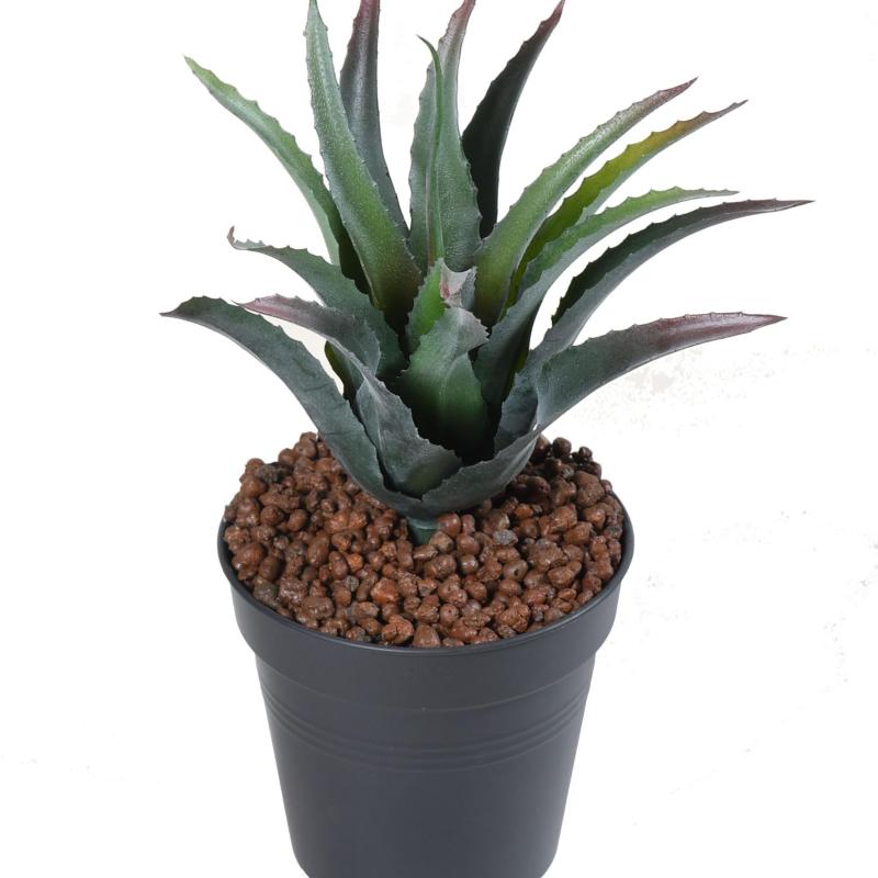 Furcraea Artificiel *15