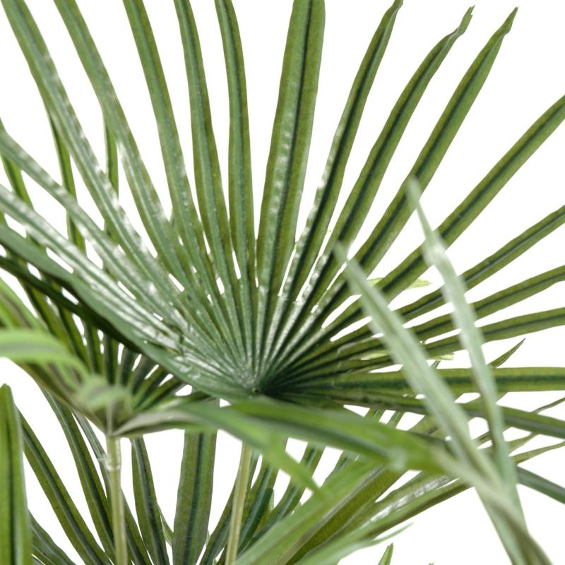 Livistonia Artificiel