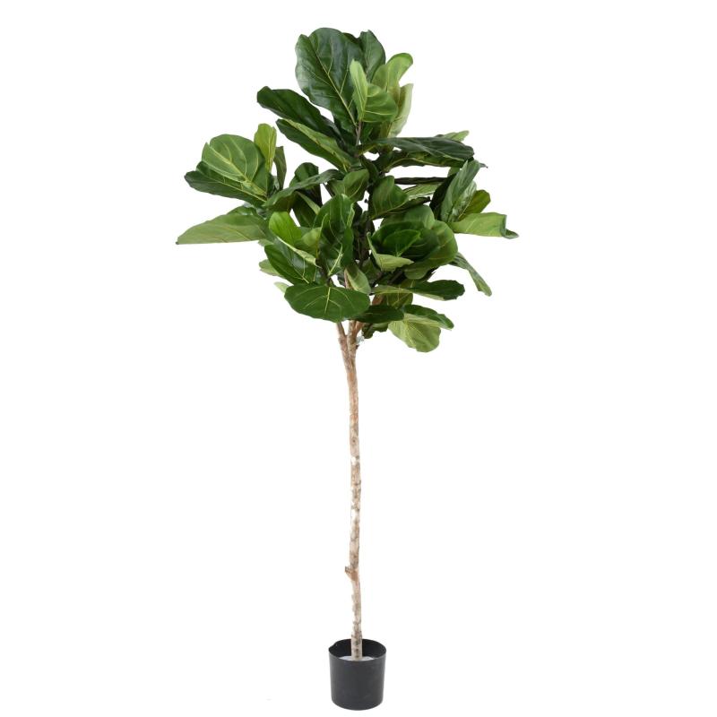 Lyrata Artificiel Tige Tete