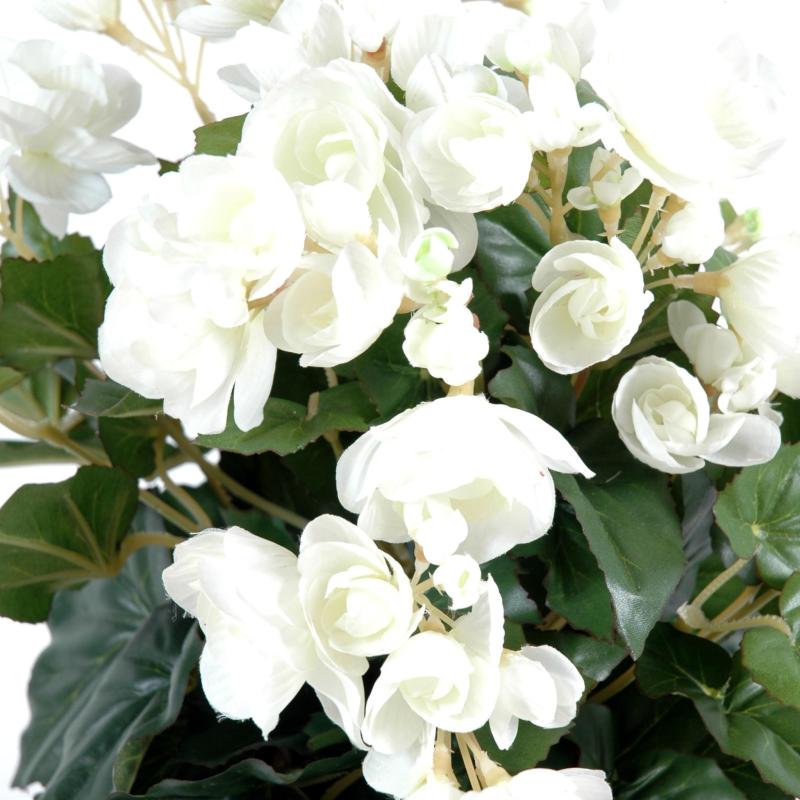 Begonia Artificiel