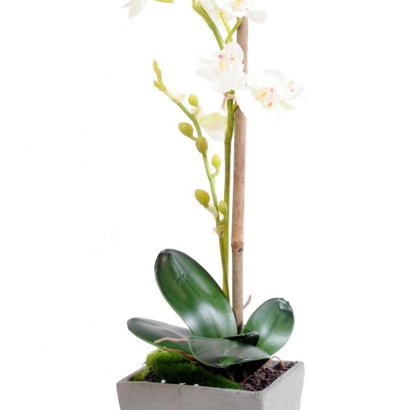 Orchidée Artificielle Phalaenopsis Pot