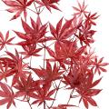 Aralia Artificiel NEW * 44