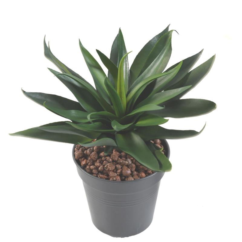 Agave Artificielle 36