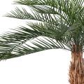 Phoenix Artificiel PLAST