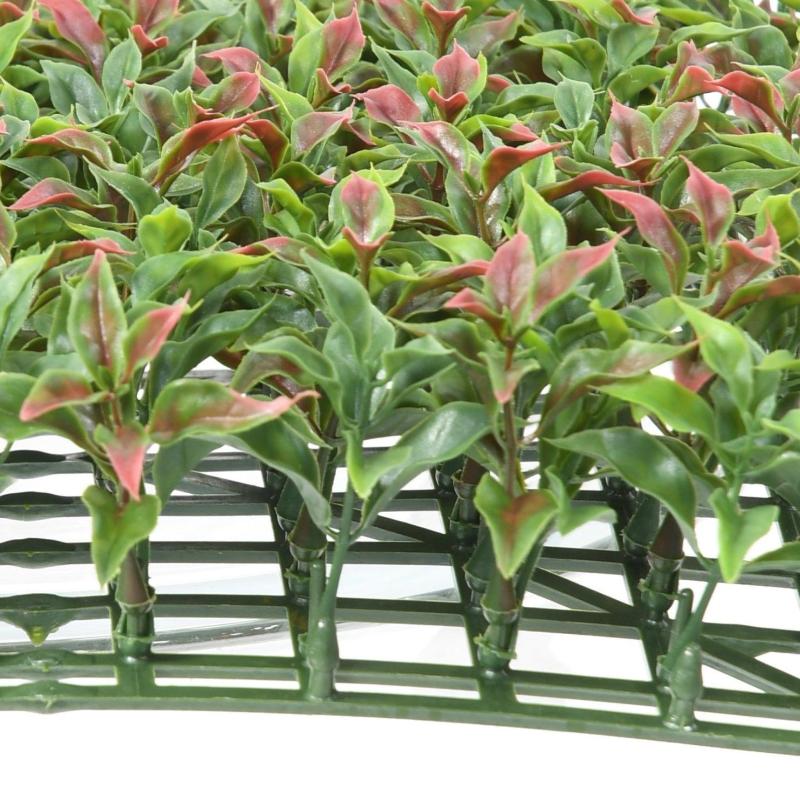 Ruscus Plaque