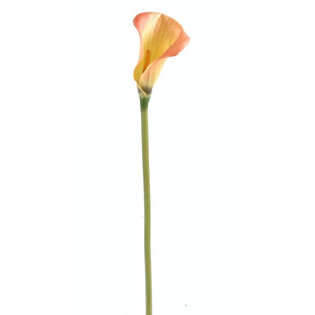 Calla Artificielle Lily