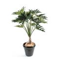 Philodendron Artificiel Selloum *15