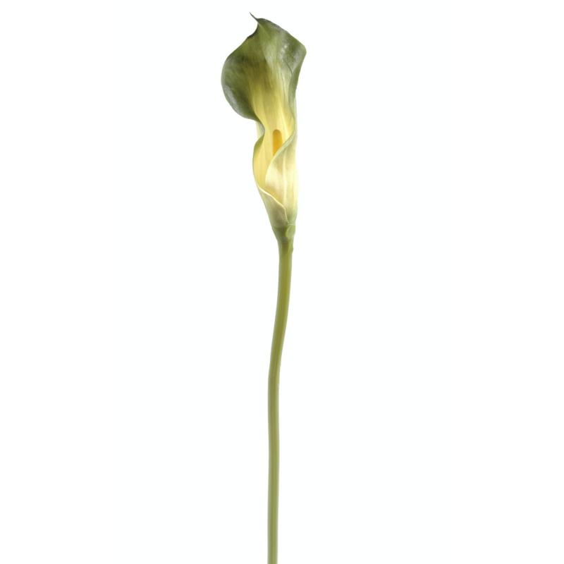 Calla Artificielle Lily