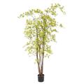 Aralia Artificiel PE 180 UV (erable)