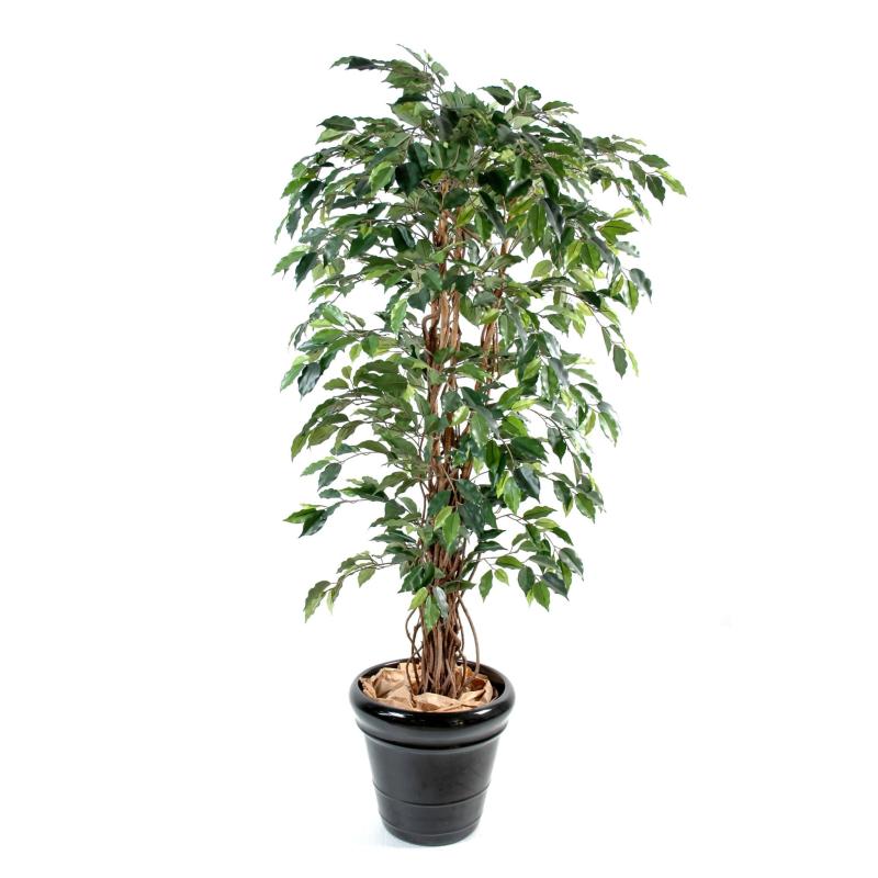 Ficus Artificiel Lianes Grandes Feuilles