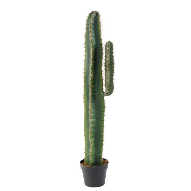 Cactus Artificiel Cereus
