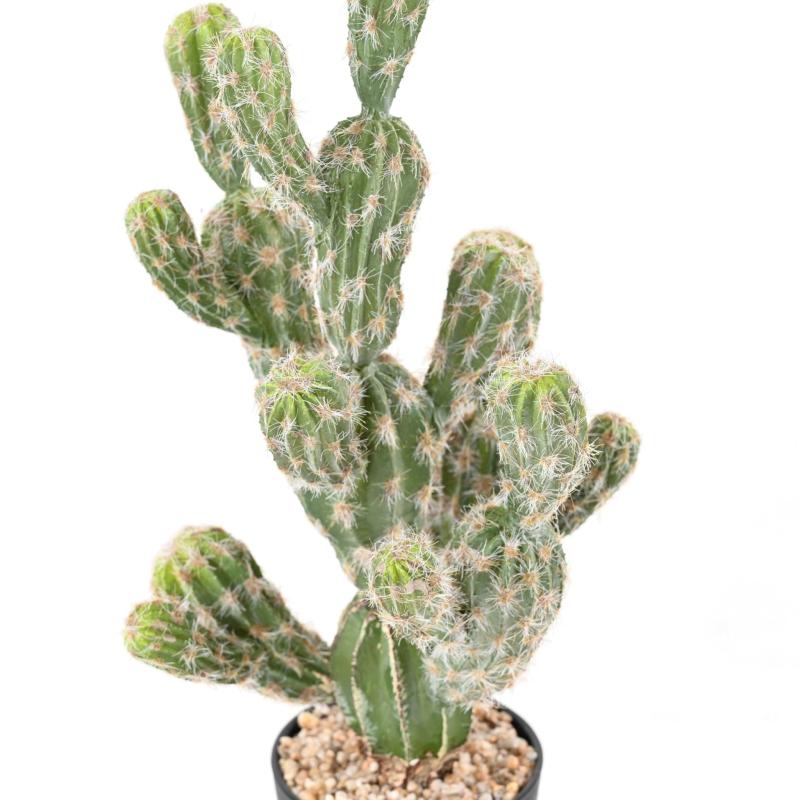 Cactus Artificiel Echinocereus