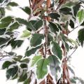 Ficus Artificiel Lianes Grandes Feuilles