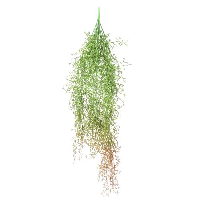 Tillandsia Artificiel Chute