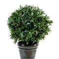Laurier Artificiel Boule Luxe