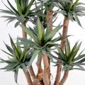 Agave*7 Artificielle