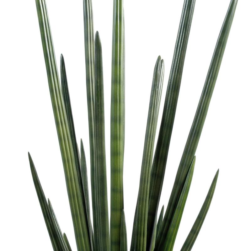 Sansevieria Artificiel Cylindrica