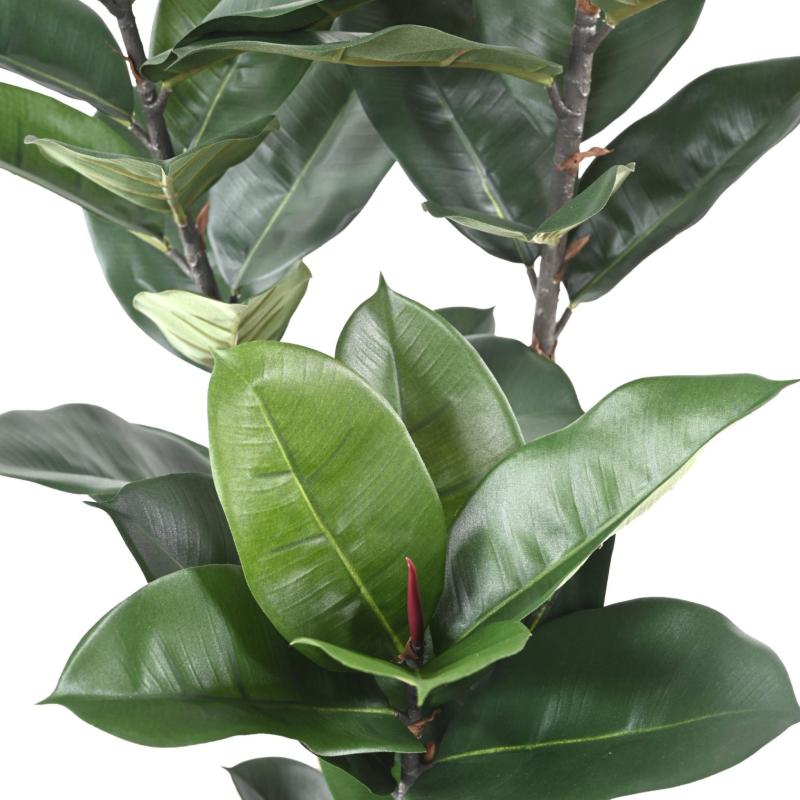 Rubber Plant Artificiel 170 cm