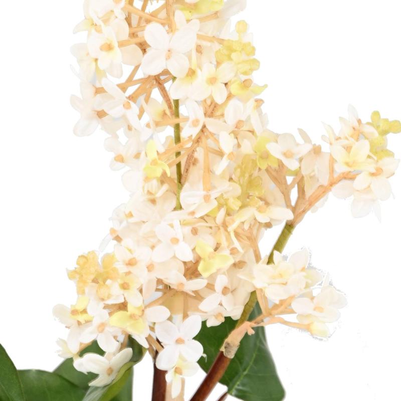 Lilas 82 Artificiel