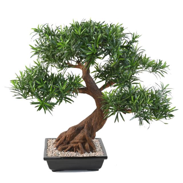 Bonsai Artificiel Podocarpus en Coupe