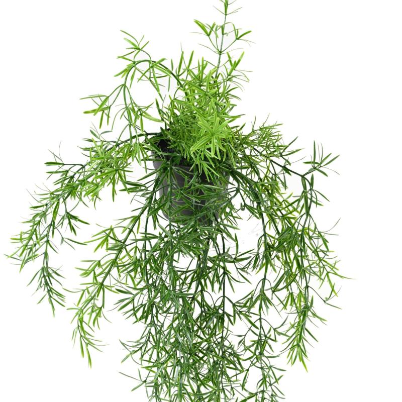 Asparagus Artificiel Chute 55 Pot