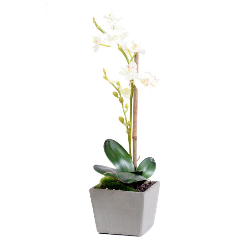 Orchidée Artificielle Phalaenopsis Pot
