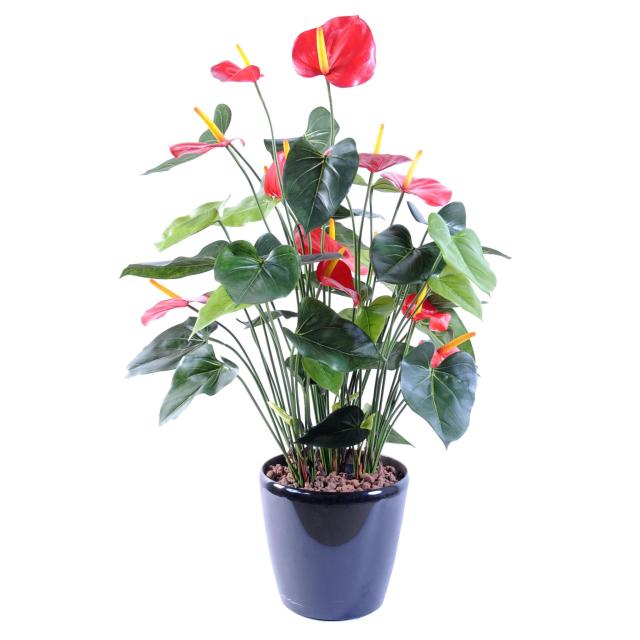 Anthurium Artificiel 13 Fleurs