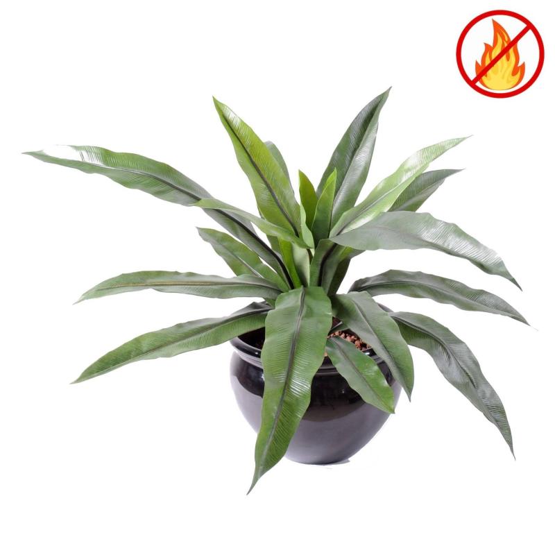 Asplenium Artificiel *15 FR - Fire Resistant
